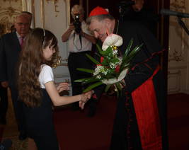 Stonožka v Arcibiskupském paláci