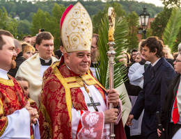 Kázání ze svatojánských navalis